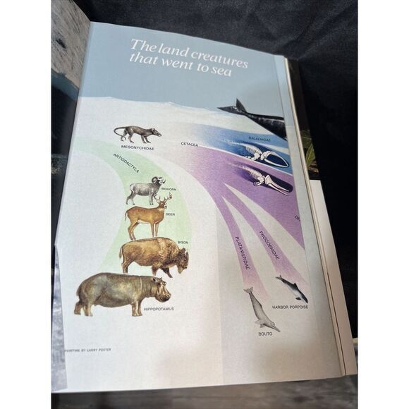 December 1988 National Geographic HOLOGRAM EARTH 🌍 / MCDONALD'S AD‎ Front/Back - Picture 15 of 16